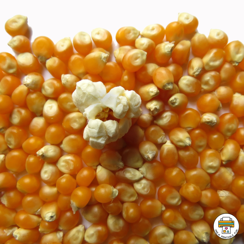 Examine popcorn before and after popping