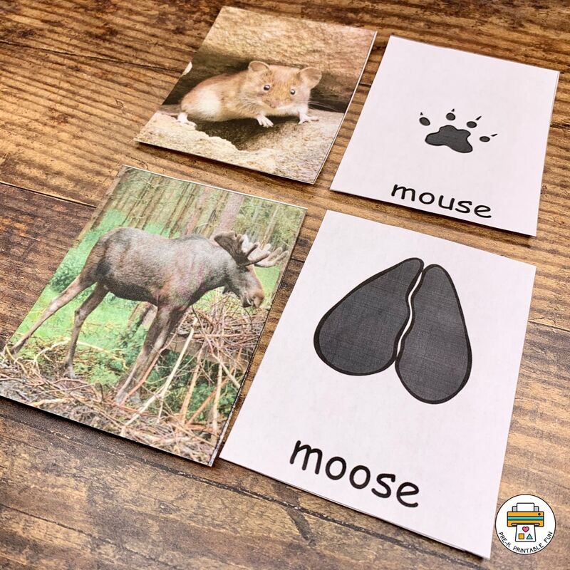 Forest Themed Preschool Math and Literacy Activities - Pre-K Printable Fun