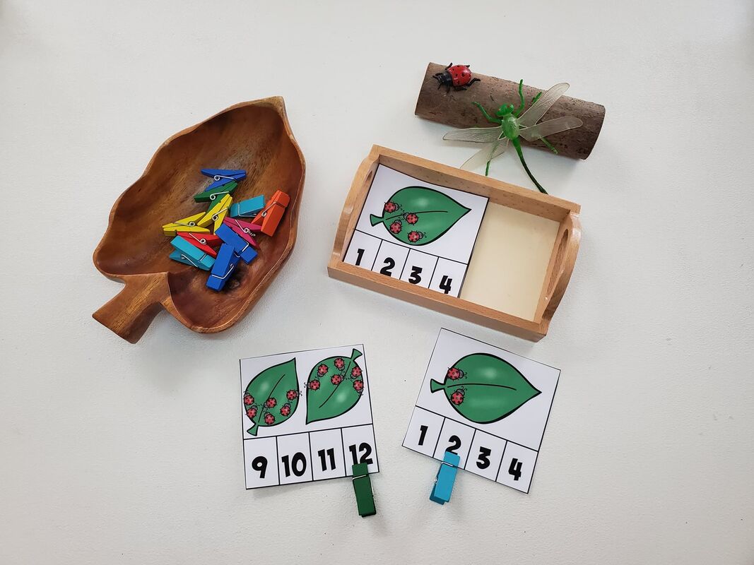 insect Activity Pack - Pre-K Printable Fun
