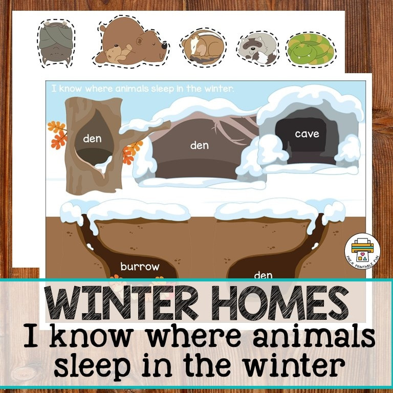 Animals in the Winter - Pre-K Printable Fun