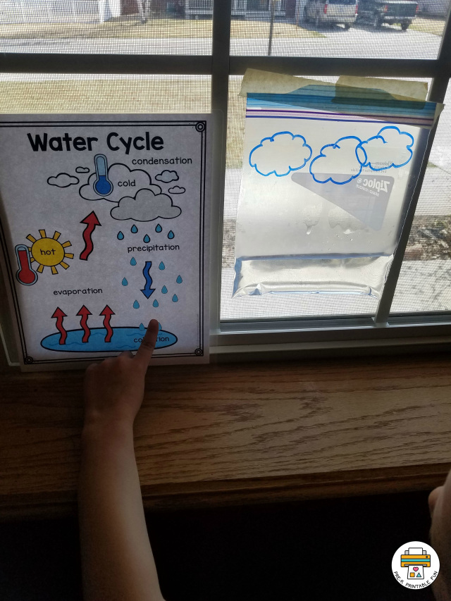 Water Cycle Preschool Science Activities