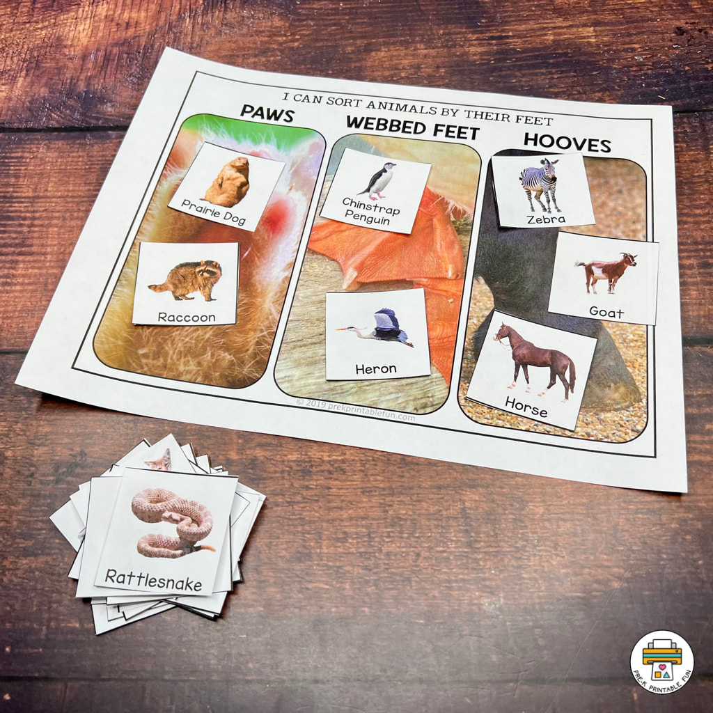 Sort and Classify Animals - Pre-K Printable Fun