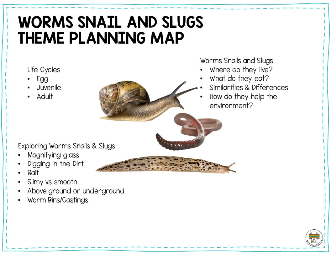 Free Worms Snails and Slugs Preschool Lesson Plan
