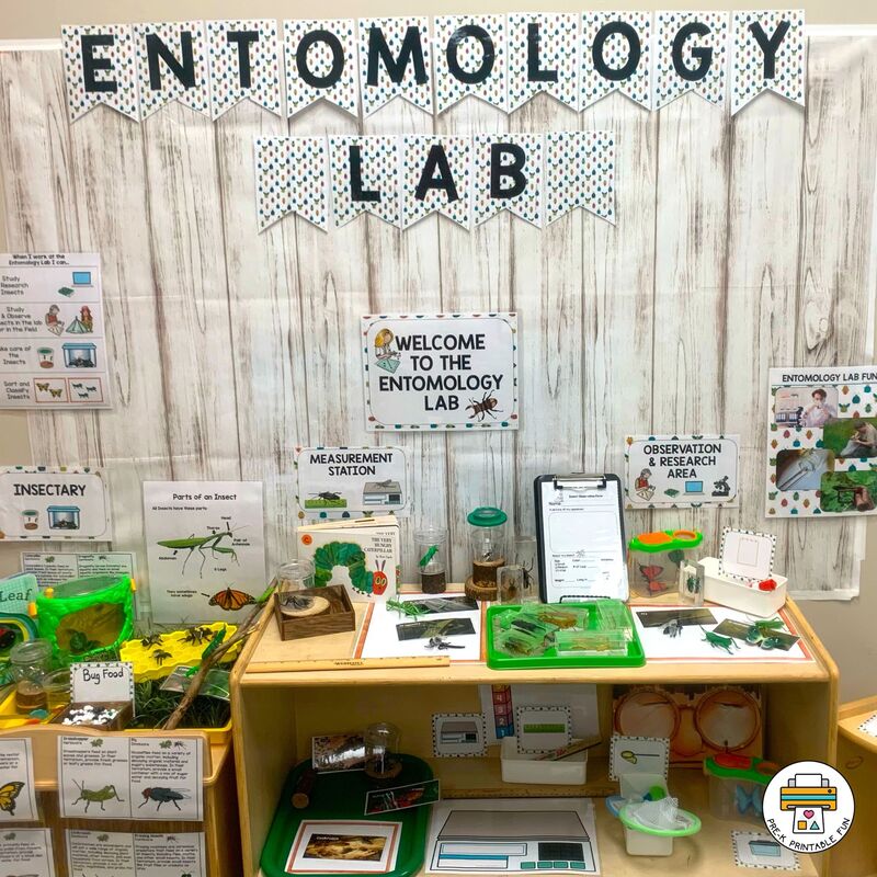 Set up an entomologist lab
