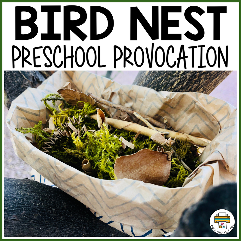 Bird Preschool Activities
