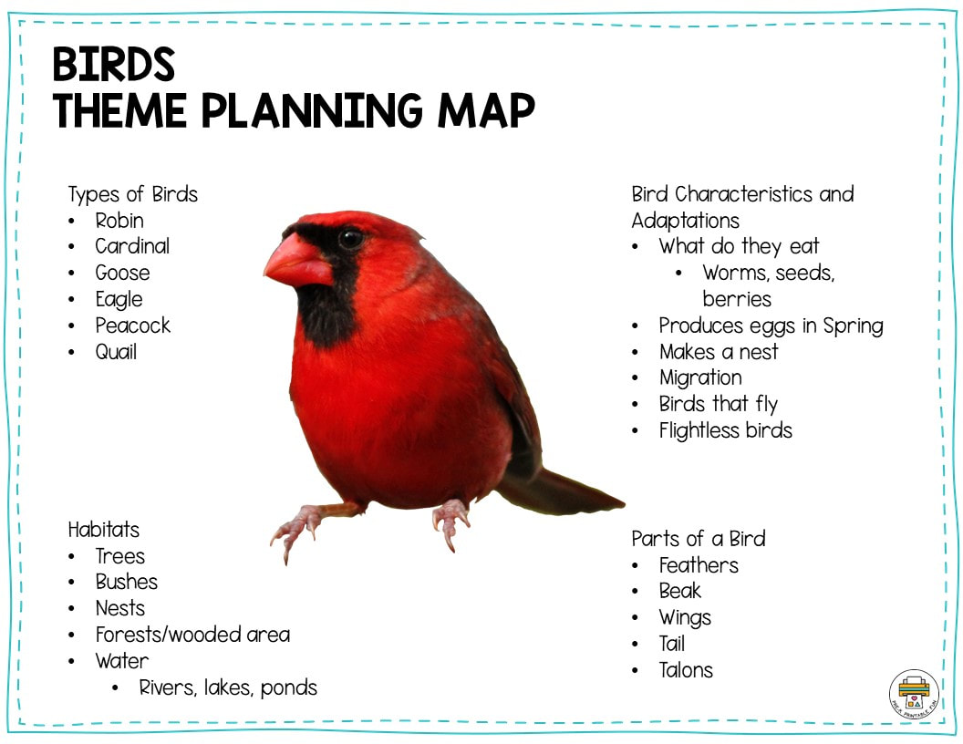 Free Bird Preschool Lesson Plan