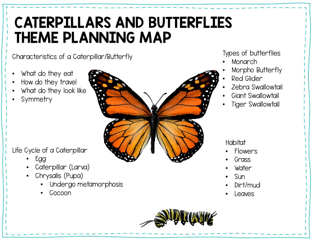 Free Caterpillars and Butterflies Preschool Lesson Plan