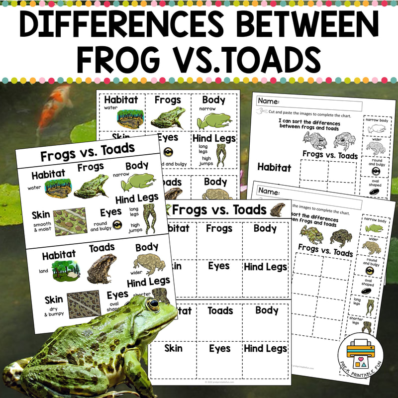 Frog Science Preschool Activities