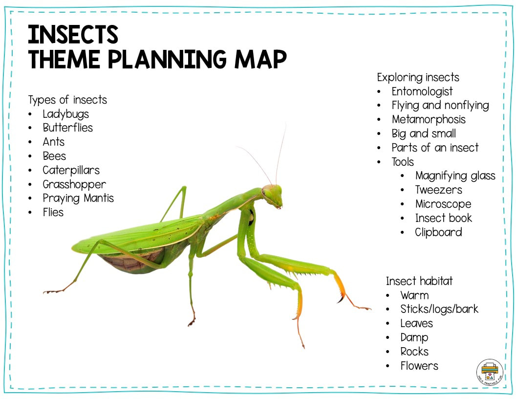 Free Insects Preschool Lesson Plan