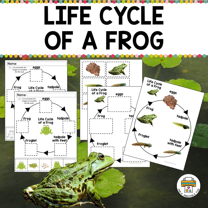 Frog Science Preschool Activities