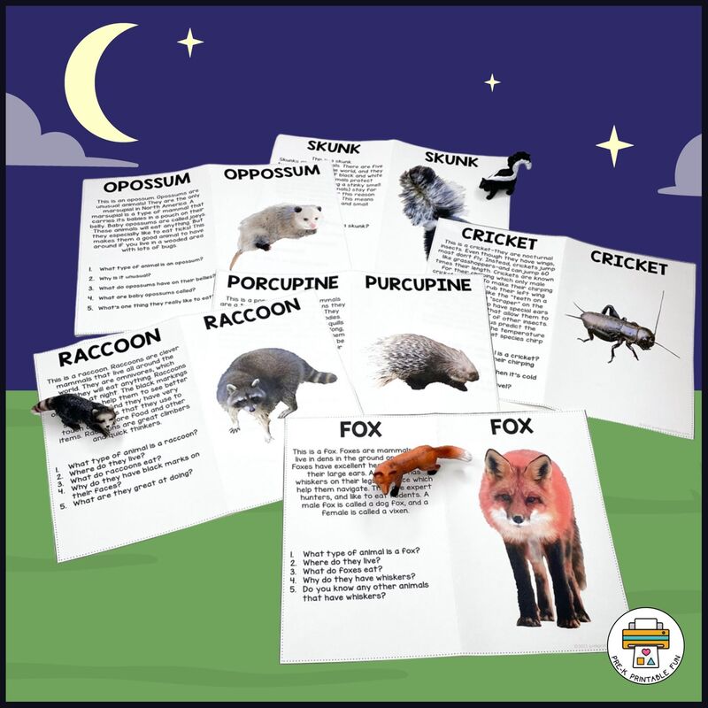 Nocturnal Animals Lesson Planning Page - Pre-K Printable Fun
