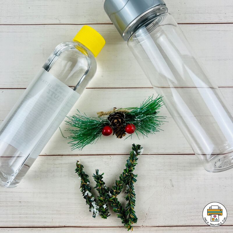 Pine Tree Discovery Bottles for Preschoolers