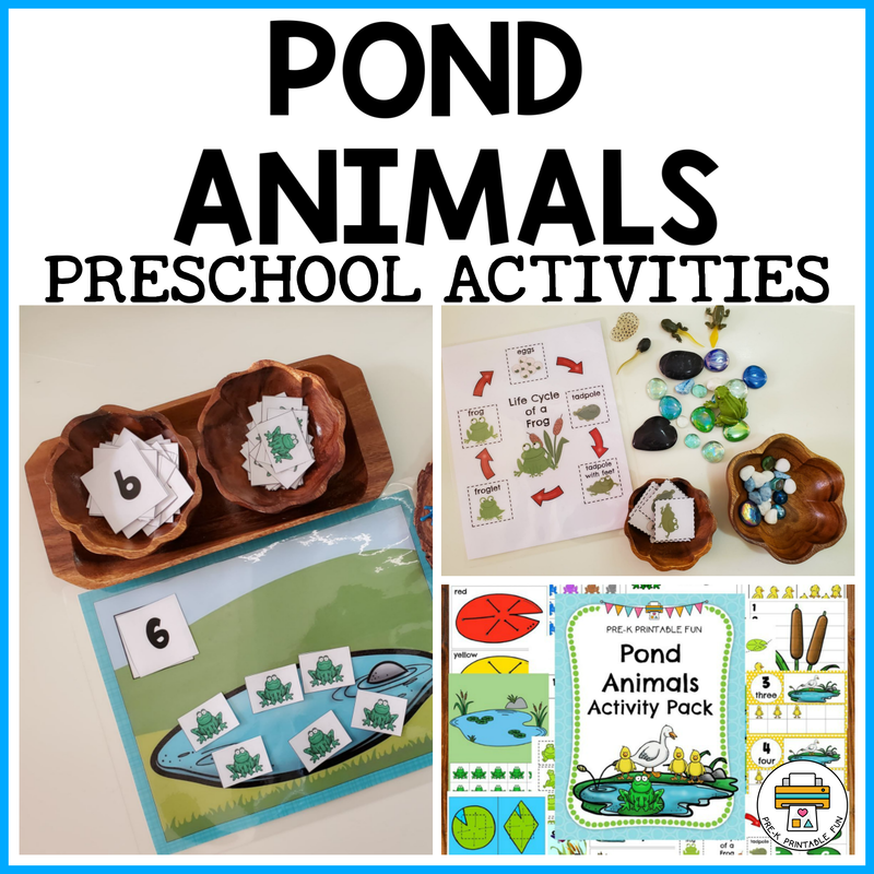 Pond Animal Preschool Activities