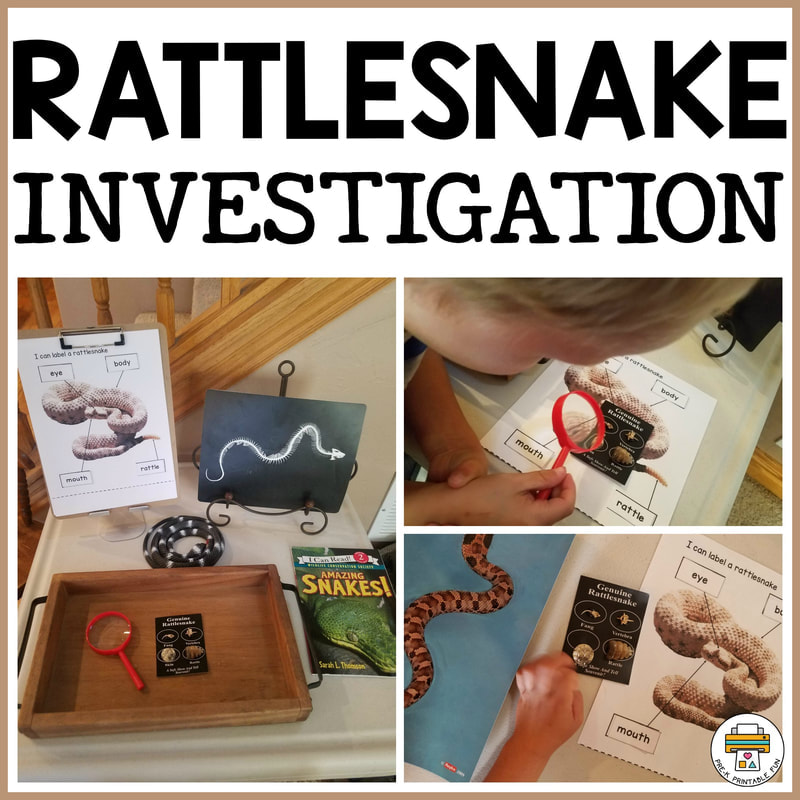 Rattlesnake Investigation