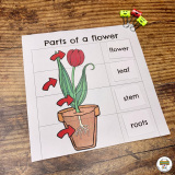 Flowers and Bees Preschool Activity Pack