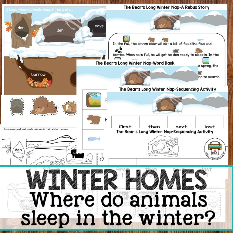 Animal Winter Homes