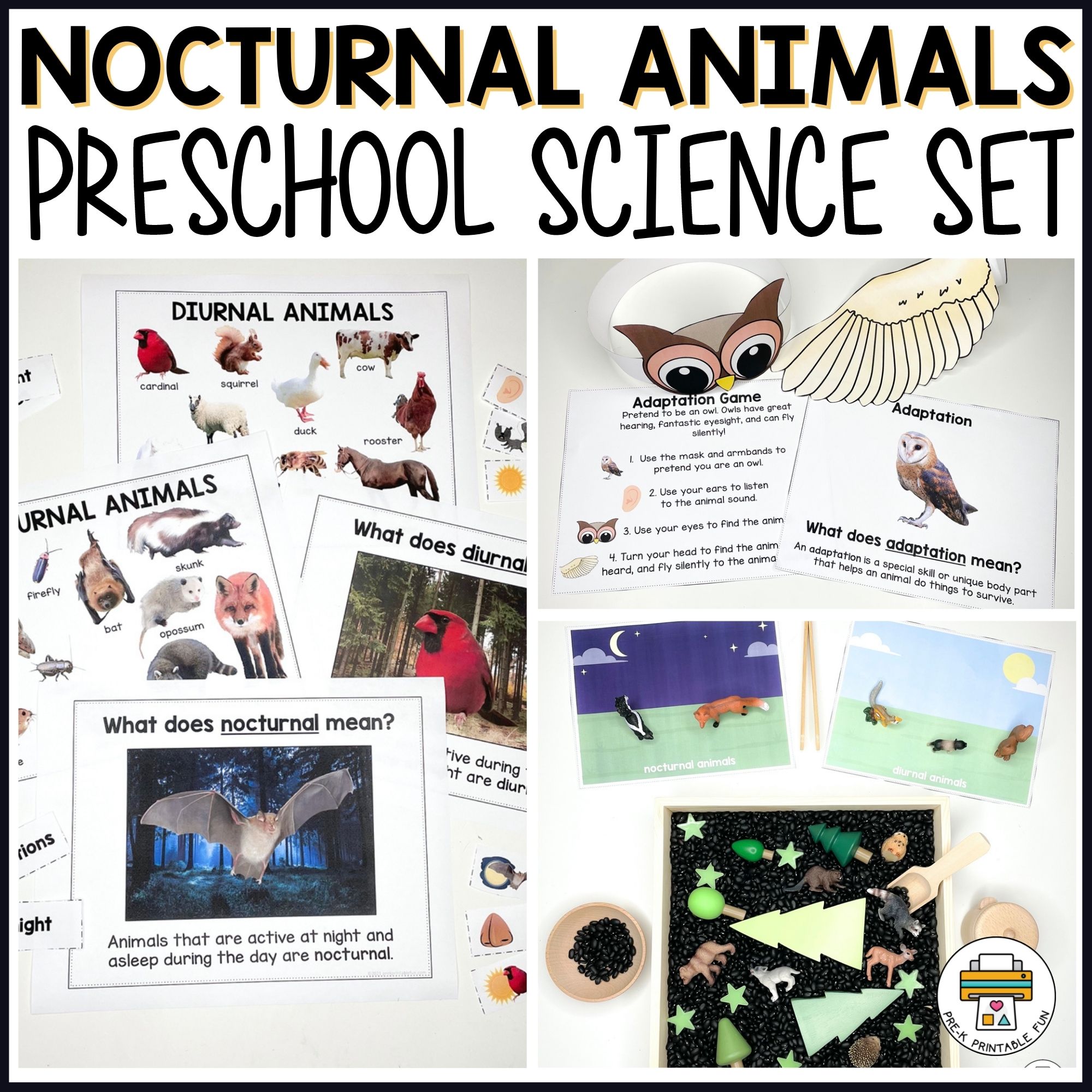 Nocturnal Animals Preschool Science Set