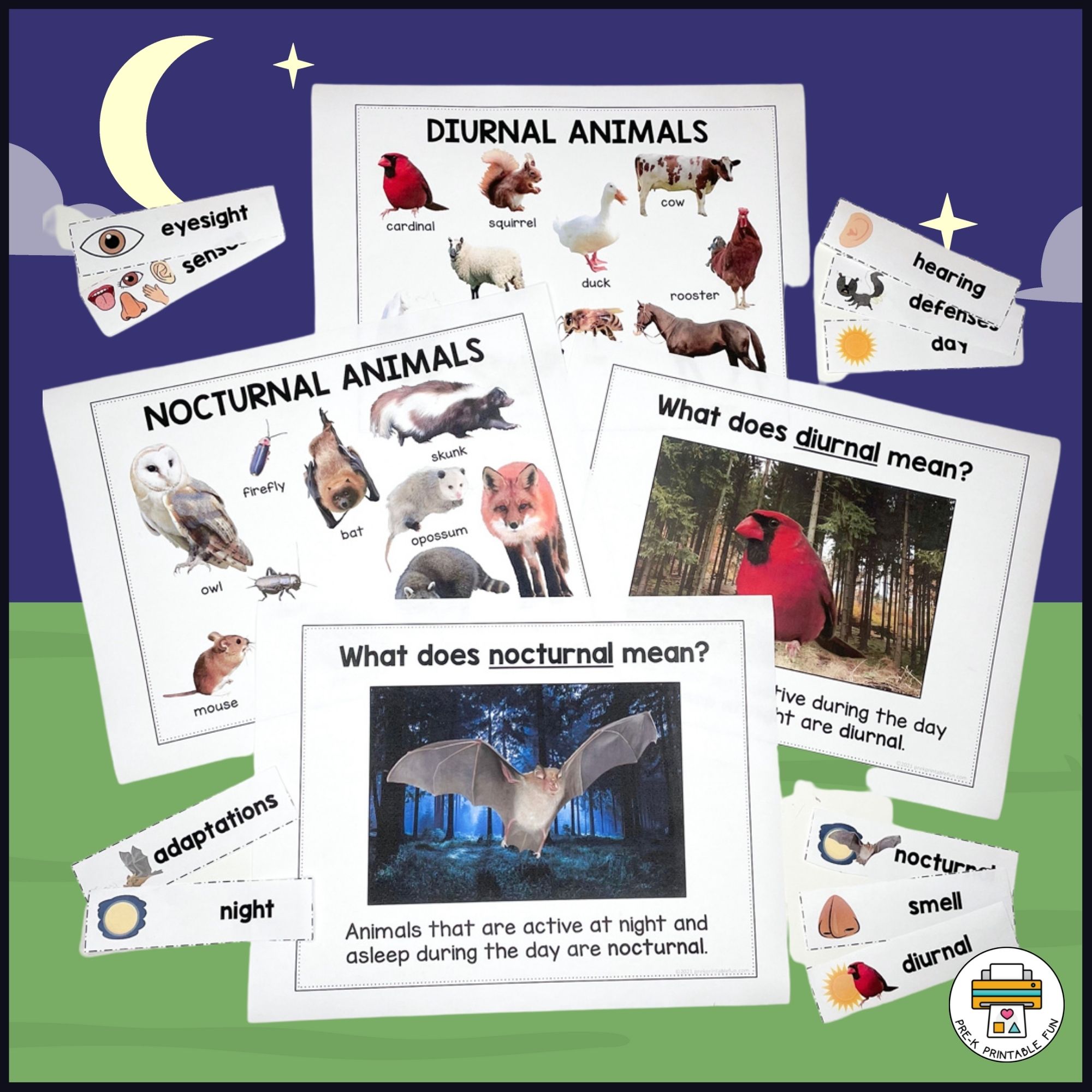 Nocturnal Animals Preschool Science Set
