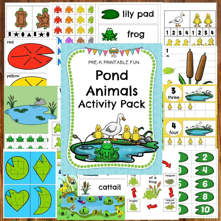 Pond Animals Preschool Activities