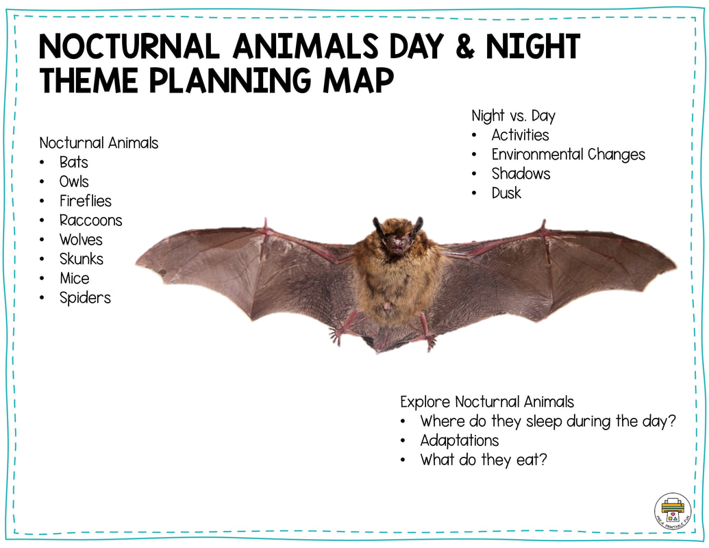 Nocturnal Animals and Day & Night Theme Planning MapPicture